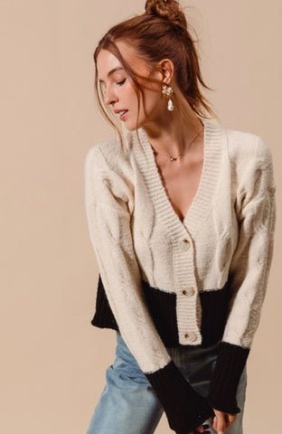 Oatmeal/black button down sweater